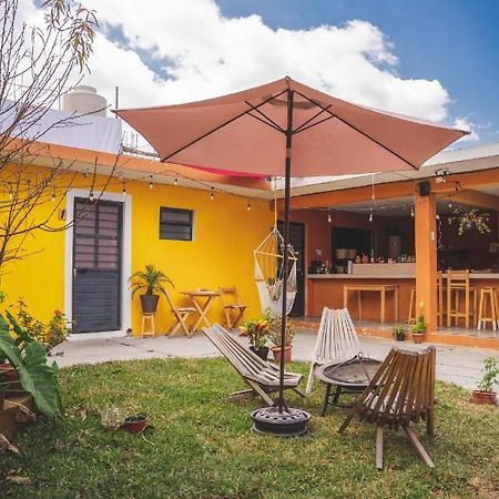 Casa Sofia Guest House San Cristóbal de Las Casas Extérieur photo