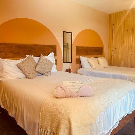 Casa Sofia Guest House San Cristóbal de Las Casas Extérieur photo