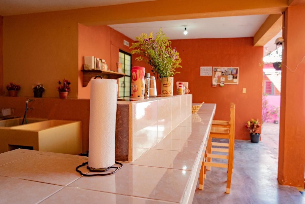 Casa Sofia Guest House San Cristóbal de Las Casas Extérieur photo