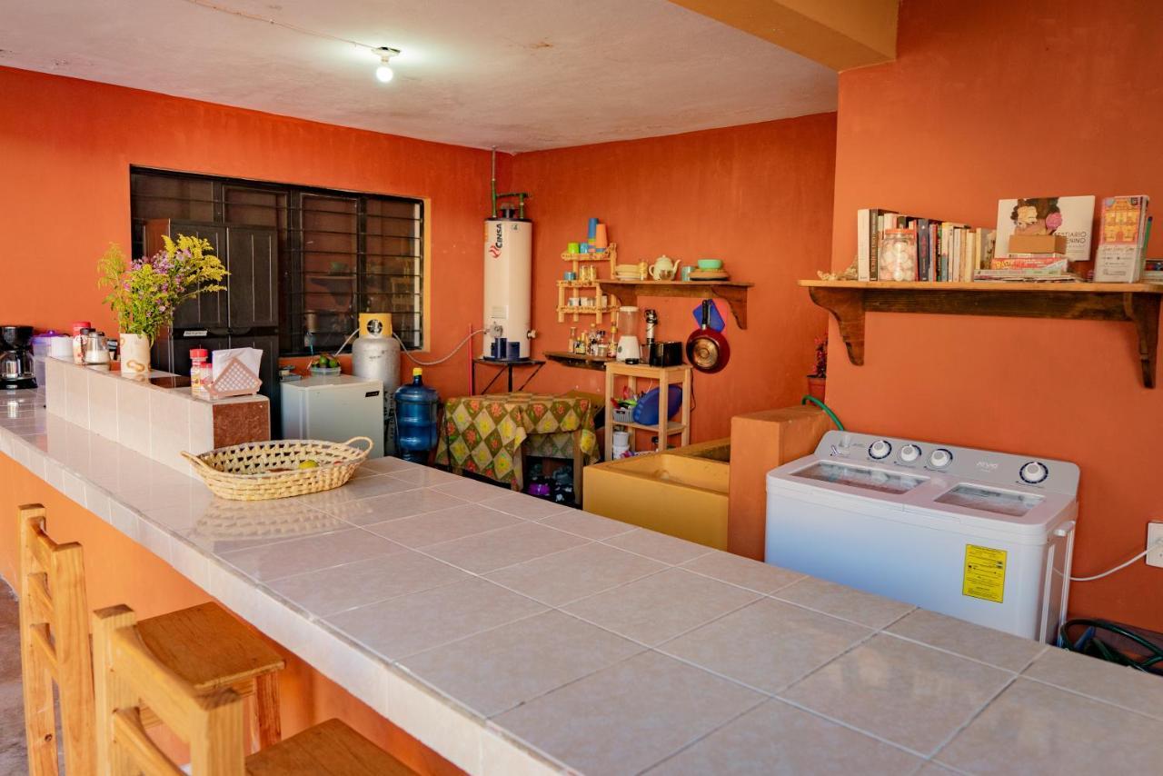 Casa Sofia Guest House San Cristóbal de Las Casas Extérieur photo