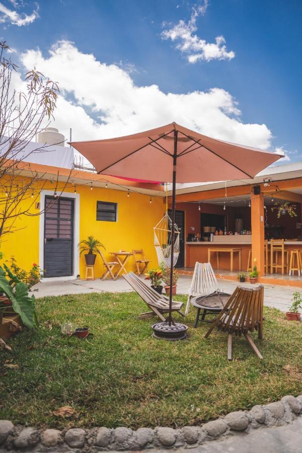 Casa Sofia Guest House San Cristóbal de Las Casas Extérieur photo
