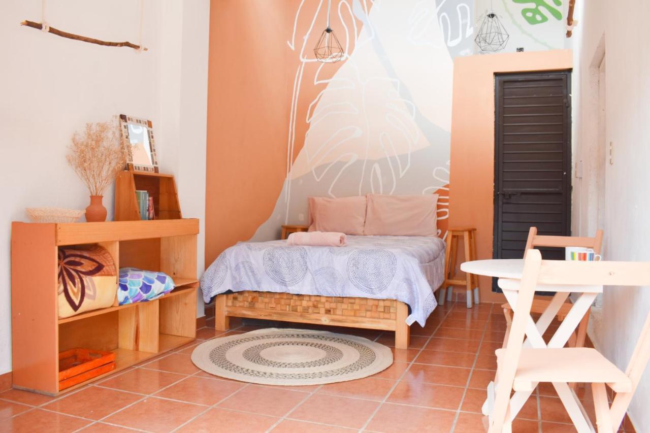 Casa Sofia Guest House San Cristóbal de Las Casas Extérieur photo