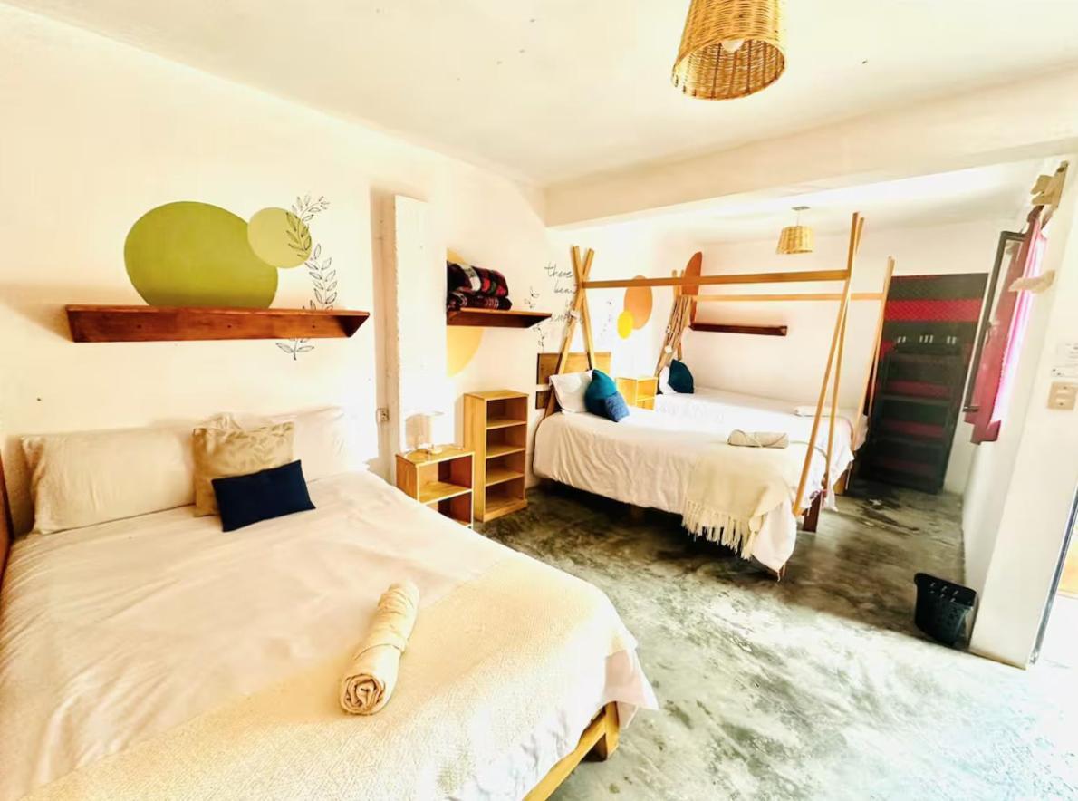 Casa Sofia Guest House San Cristóbal de Las Casas Extérieur photo
